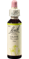 Bachblüten Olive Tropfen