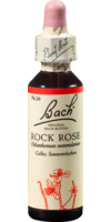 Bachblüten Rock Rose Tropfen