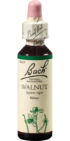 Bachblüten Walnut Tropfen