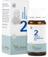 Pflüger Schüssler Salz Nr. 02 Calcium phosphoricum D6, 100 Tabletten