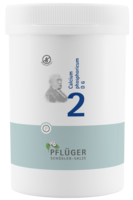 Pflüger Schüssler Salz Nr. 02 Calcium phosphoricum D6, 4000 Tabletten