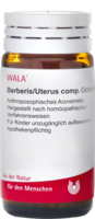 Berberis/Prostata Comp. Globuli