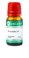 PULSATILLA LM 8 Dilution