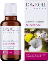 GEMMO Mazerat Silberlinde Dr.Koll Tilia tomentosa